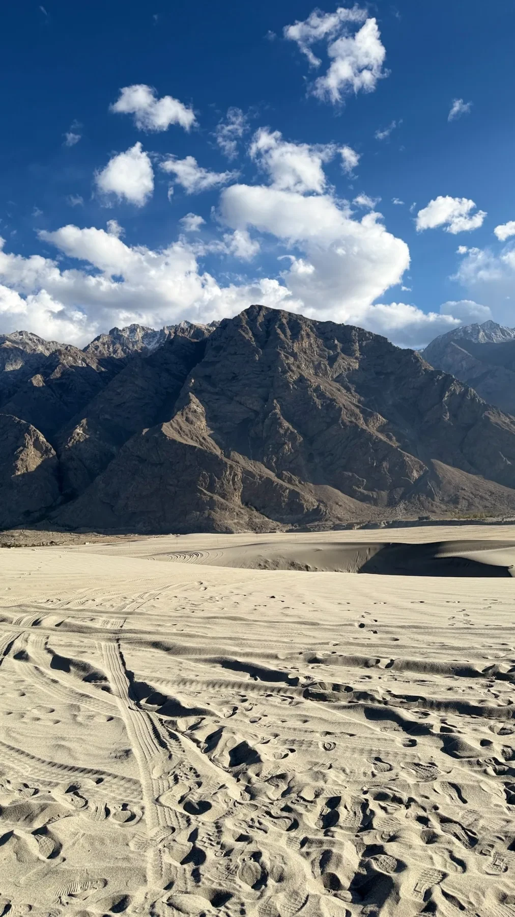 Cold desert activity area